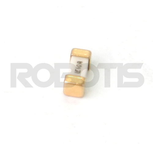 Little Fuse 125V 10A (LFU-10) (10개)